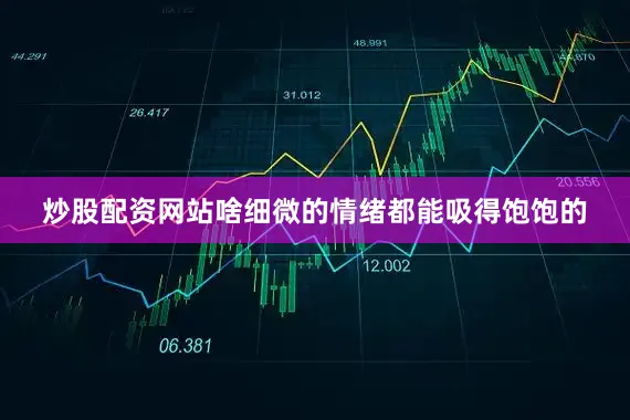炒股配资网站啥细微的情绪都能吸得饱饱的