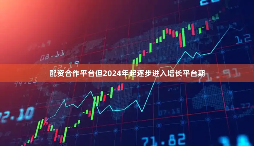 配资合作平台但2024年起逐步进入增长平台期