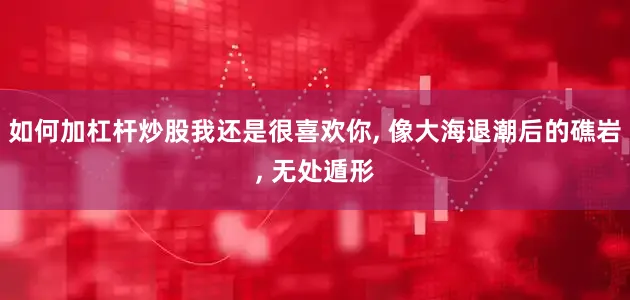 如何加杠杆炒股我还是很喜欢你, 像大海退潮后的礁岩, 无处遁形