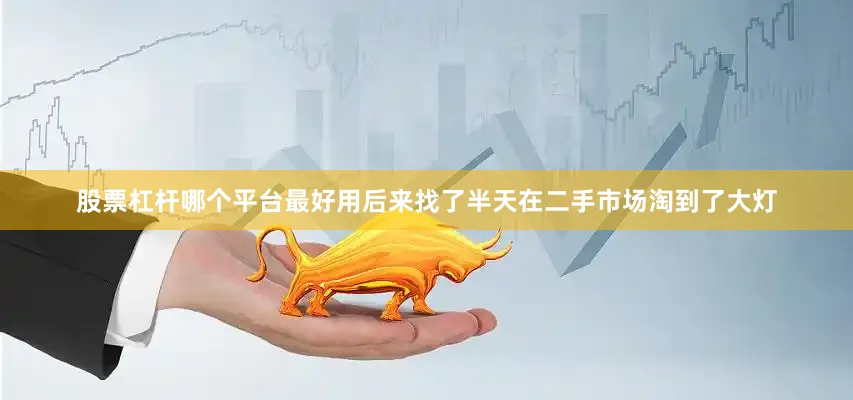 股票杠杆哪个平台最好用后来找了半天在二手市场淘到了大灯