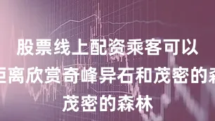 股票线上配资乘客可以近距离欣赏奇峰异石和茂密的森林