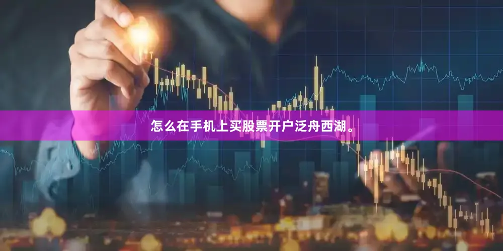 怎么在手机上买股票开户泛舟西湖。