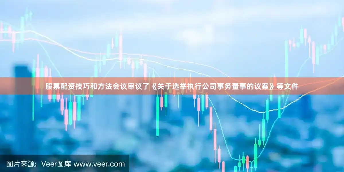 股票配资技巧和方法会议审议了《关于选举执行公司事务董事的议案》等文件